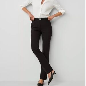 Women's Pants Ann Taylor Sophia Pant Black